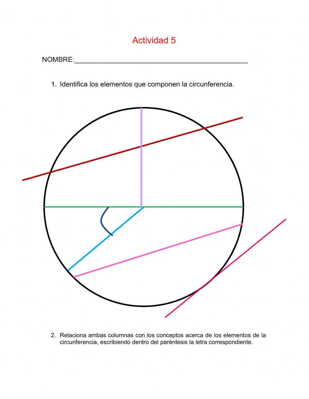 Partes de una circunferencia