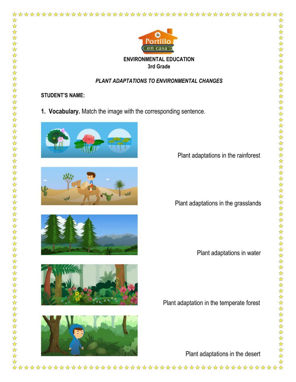 PLANT ADAPTATIONS WORKSHEET online exercise for Live Worksheets