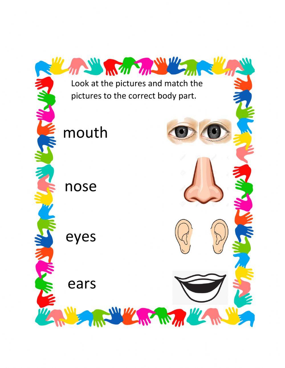 Body Parts Body Parts