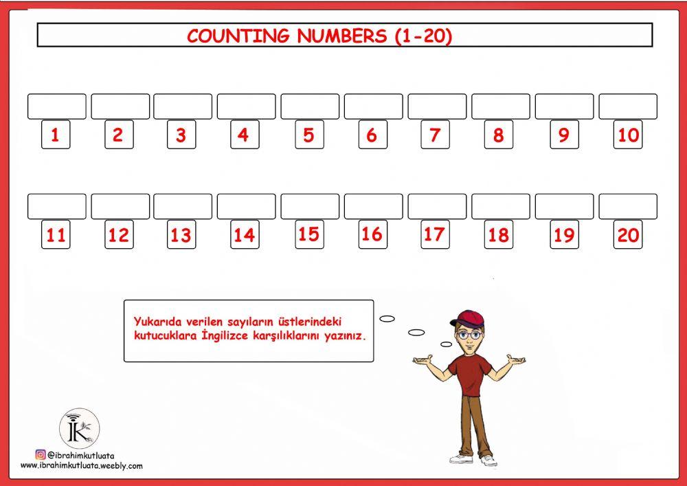 3.1-Numbers