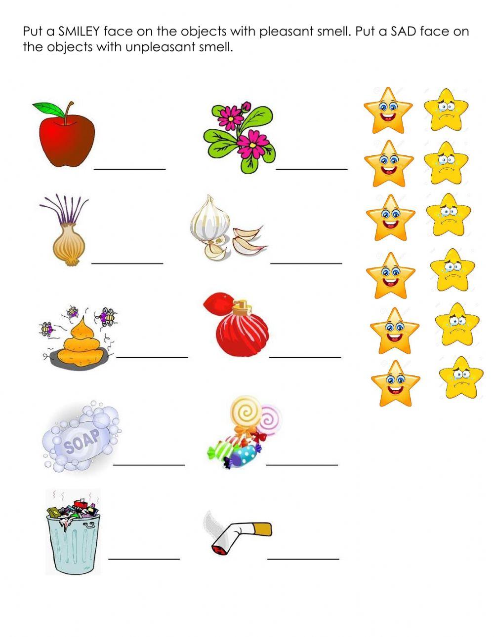 Senses - smell and hearing