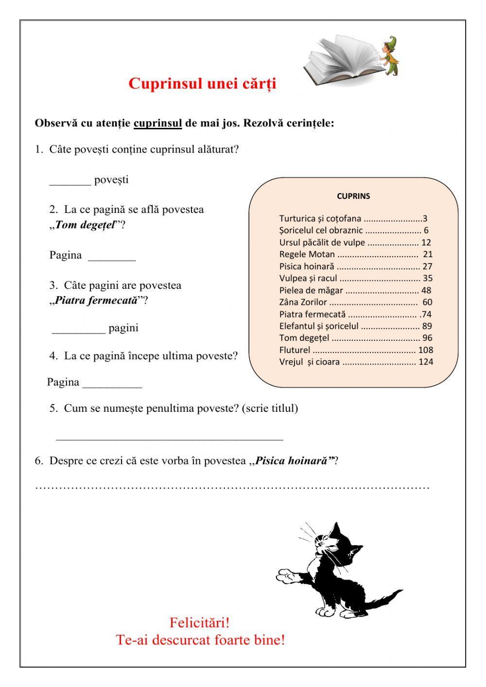 Fisă- Elementele cărții