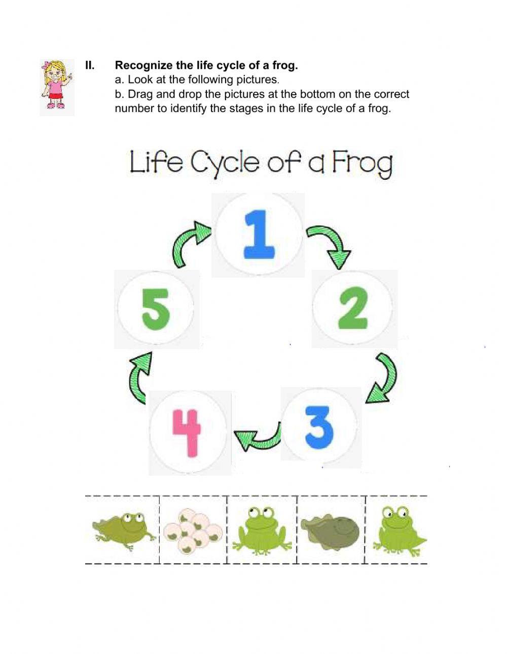 Science Evaluation-2