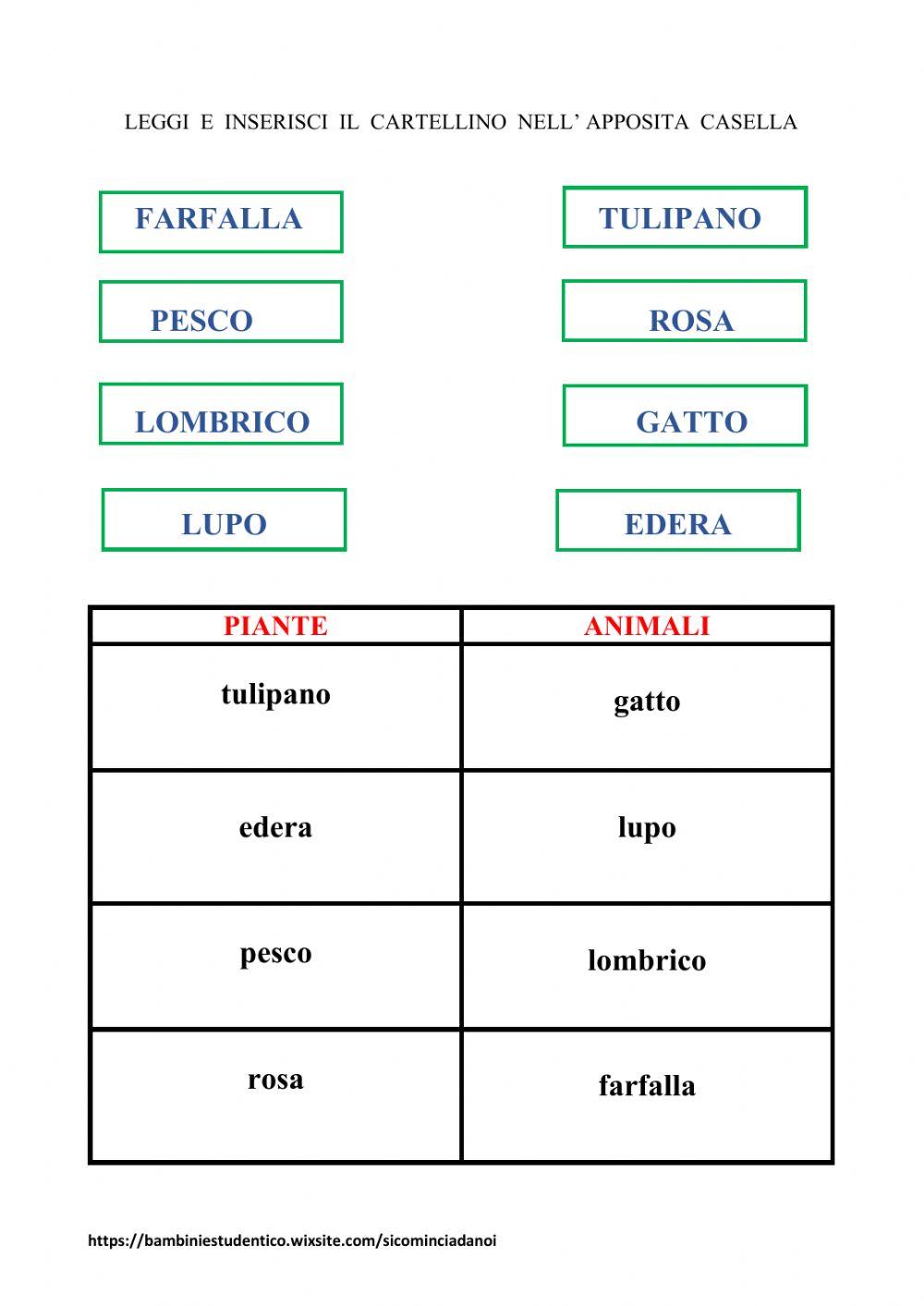 In giardino: gli esseri viventi
