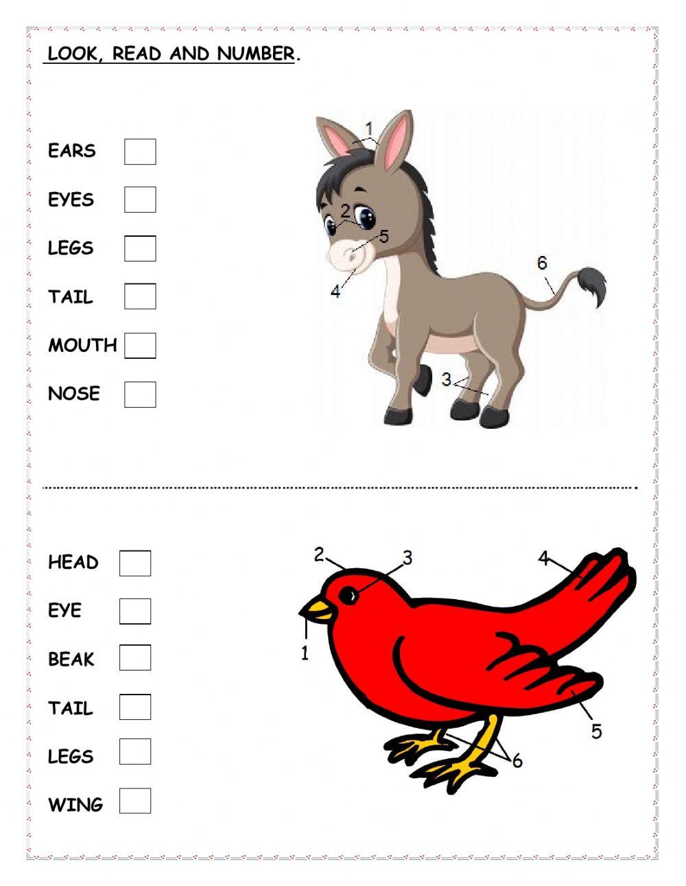 Look, read and number.