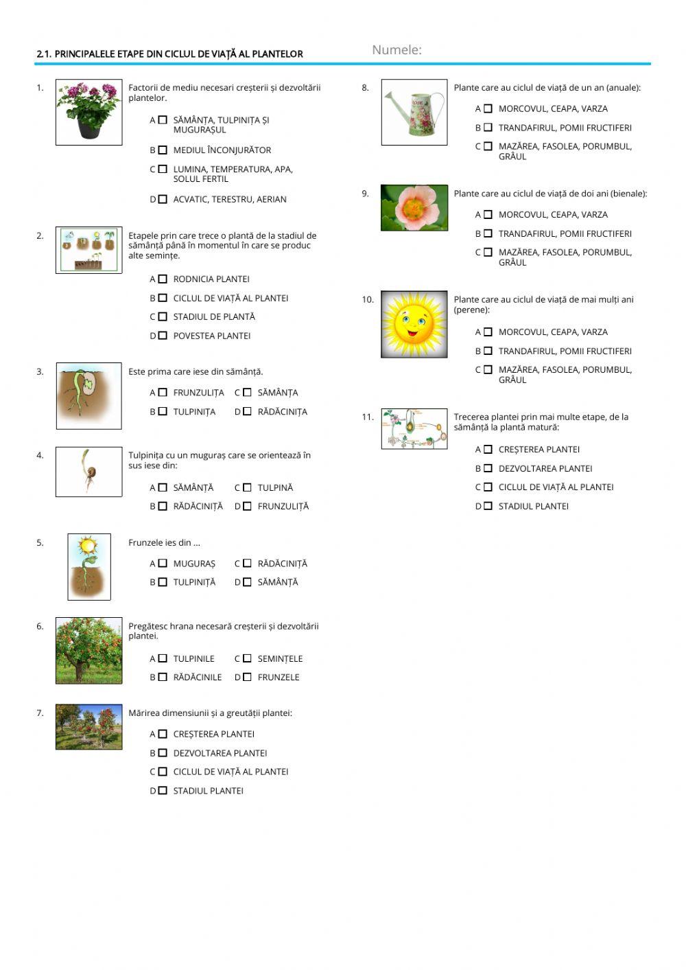 Principalele etape din ciclul de viață al plantelor