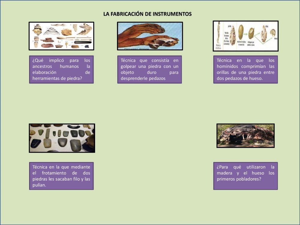 Los primeros seres humanos