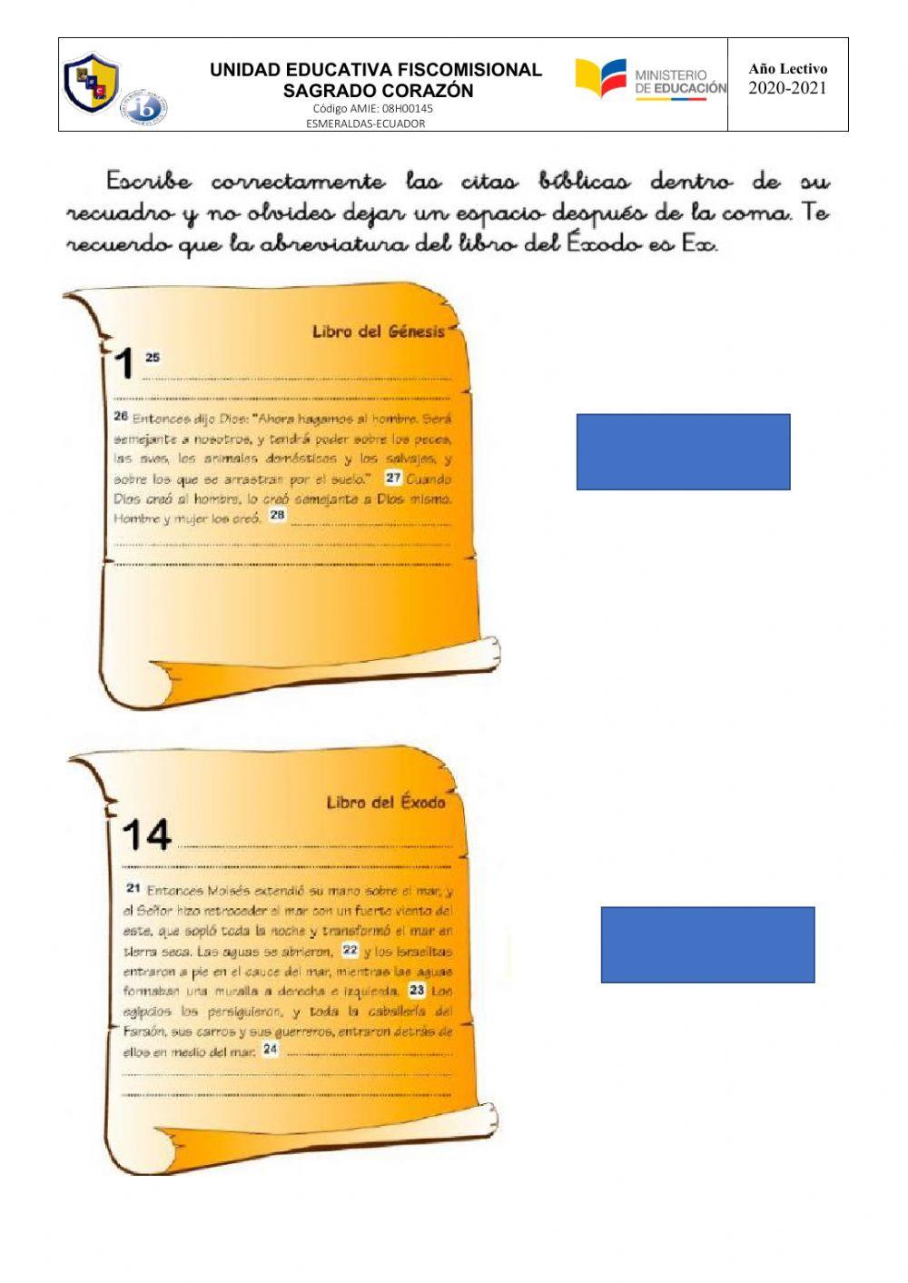 Actividad Final Religion 7mo