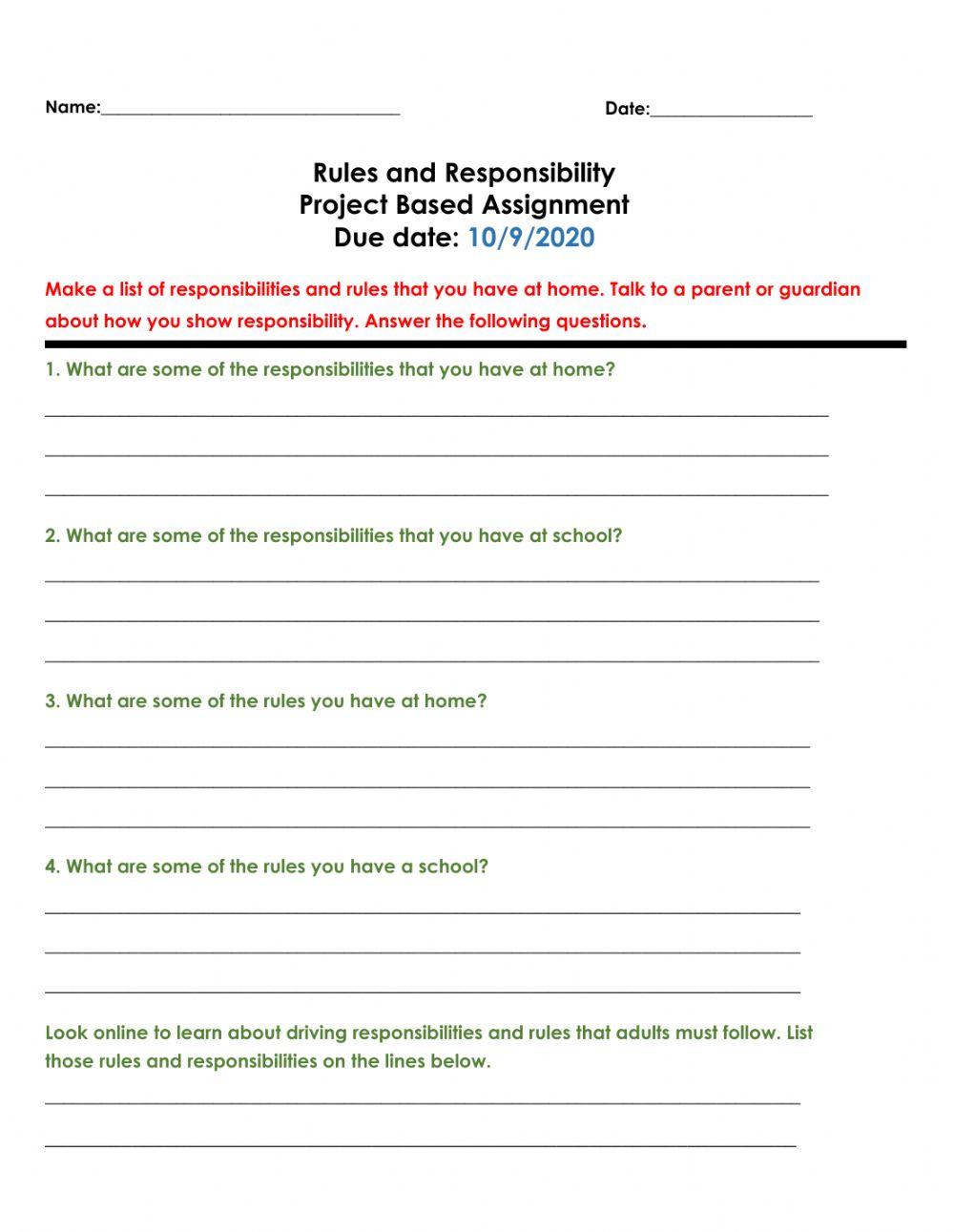 Rules and responsibilities project