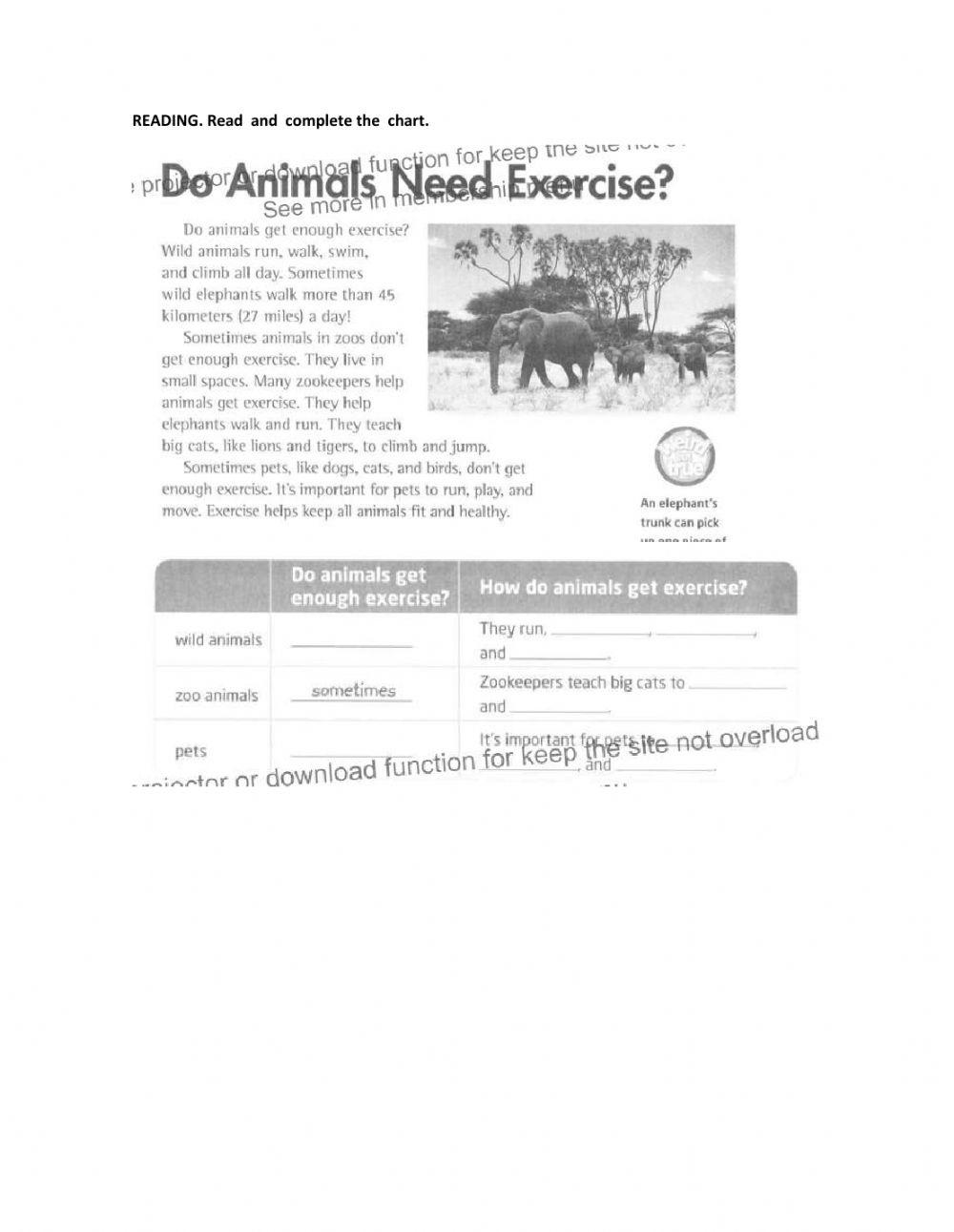 Mid-term exam for Kids - CK4