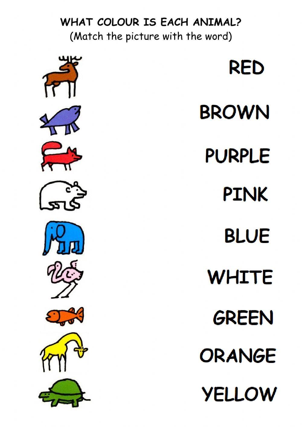 WHAT COLOUR IS EACH ANIMAL?