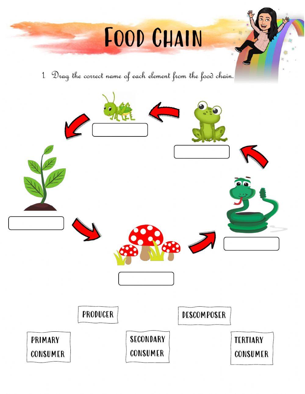 MissAnitaQuijada Biology Diagrams
