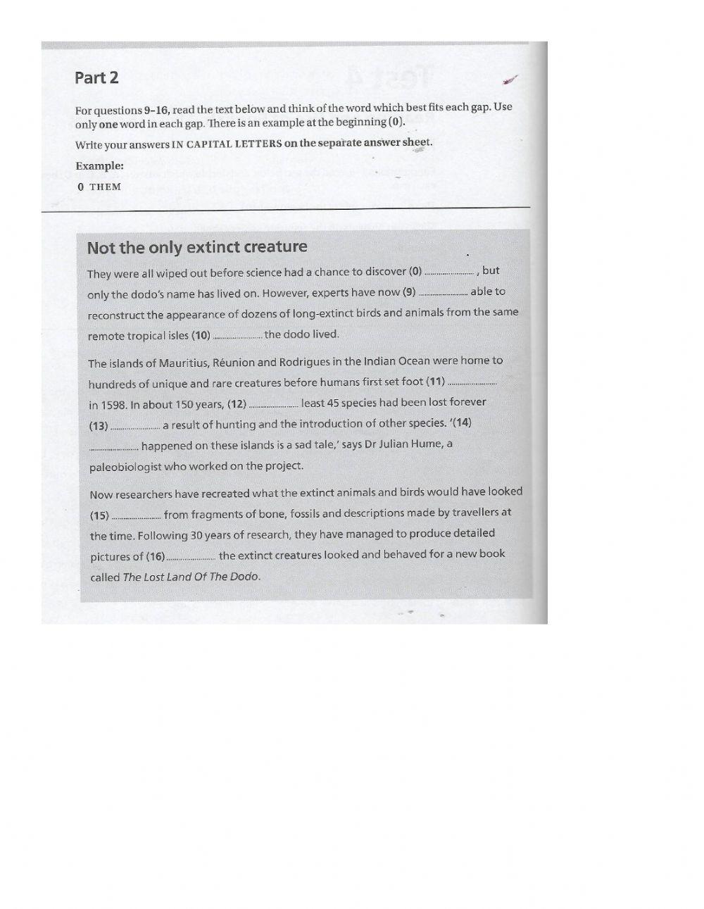 Use of english, parts 1,2,3,4 (builder)