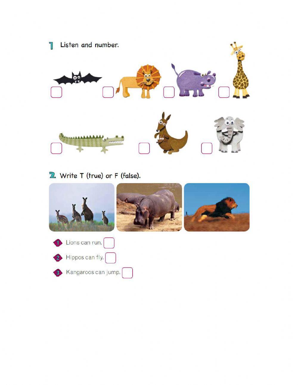 Zoo Animals- abilities