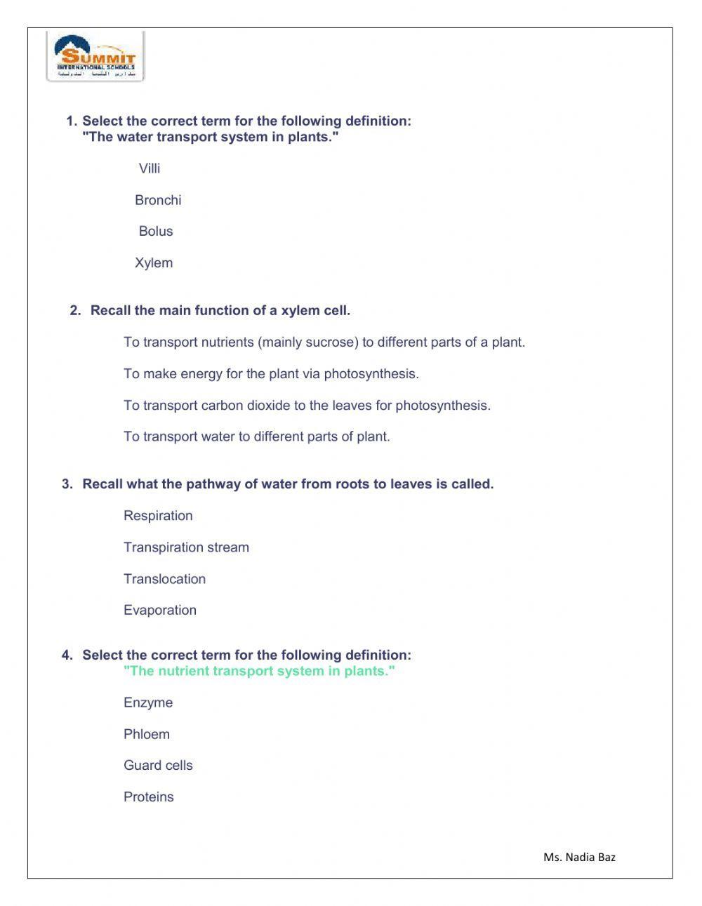 Xylem and phloem worksheet