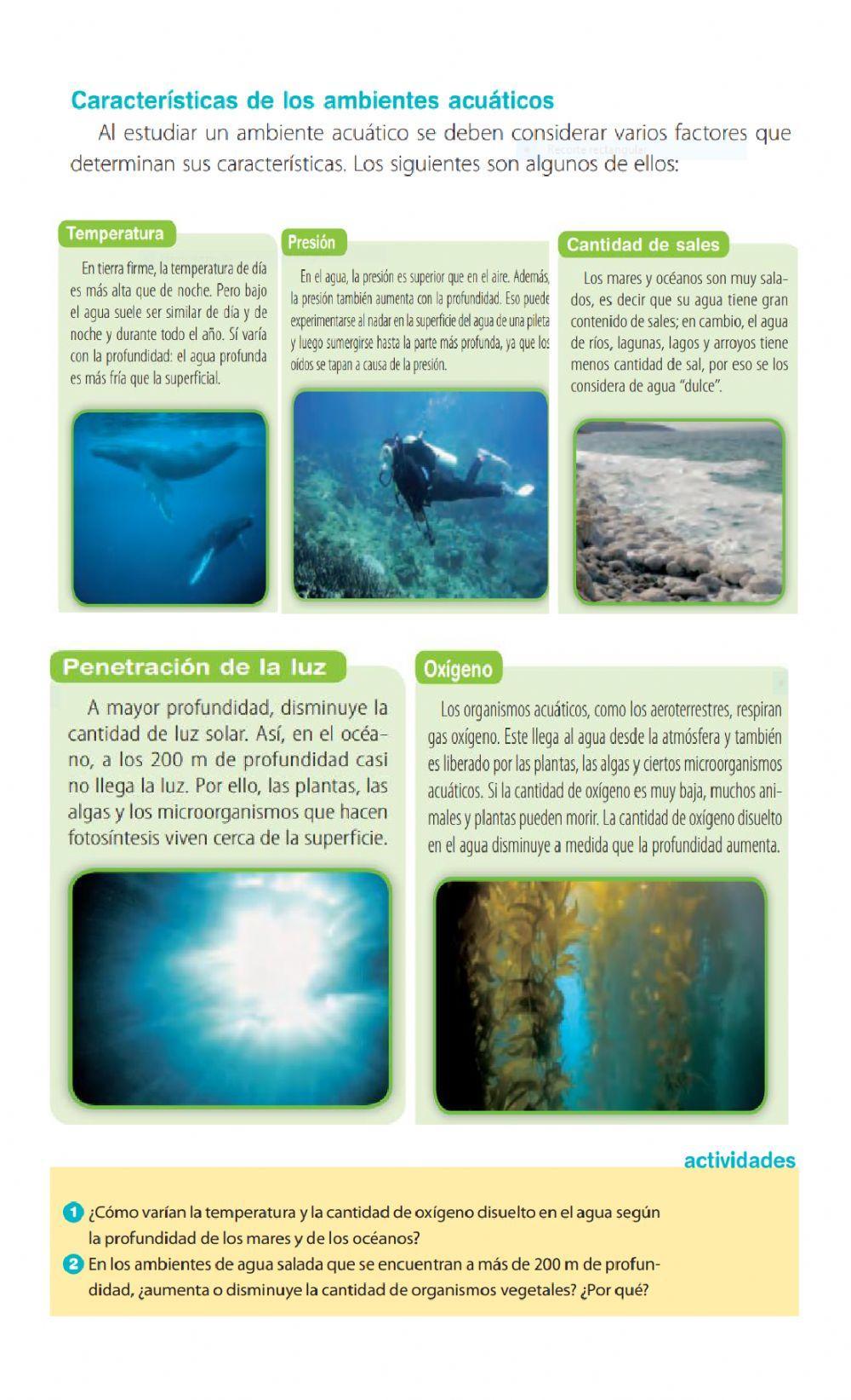Los ambientes acuáticos y de transición