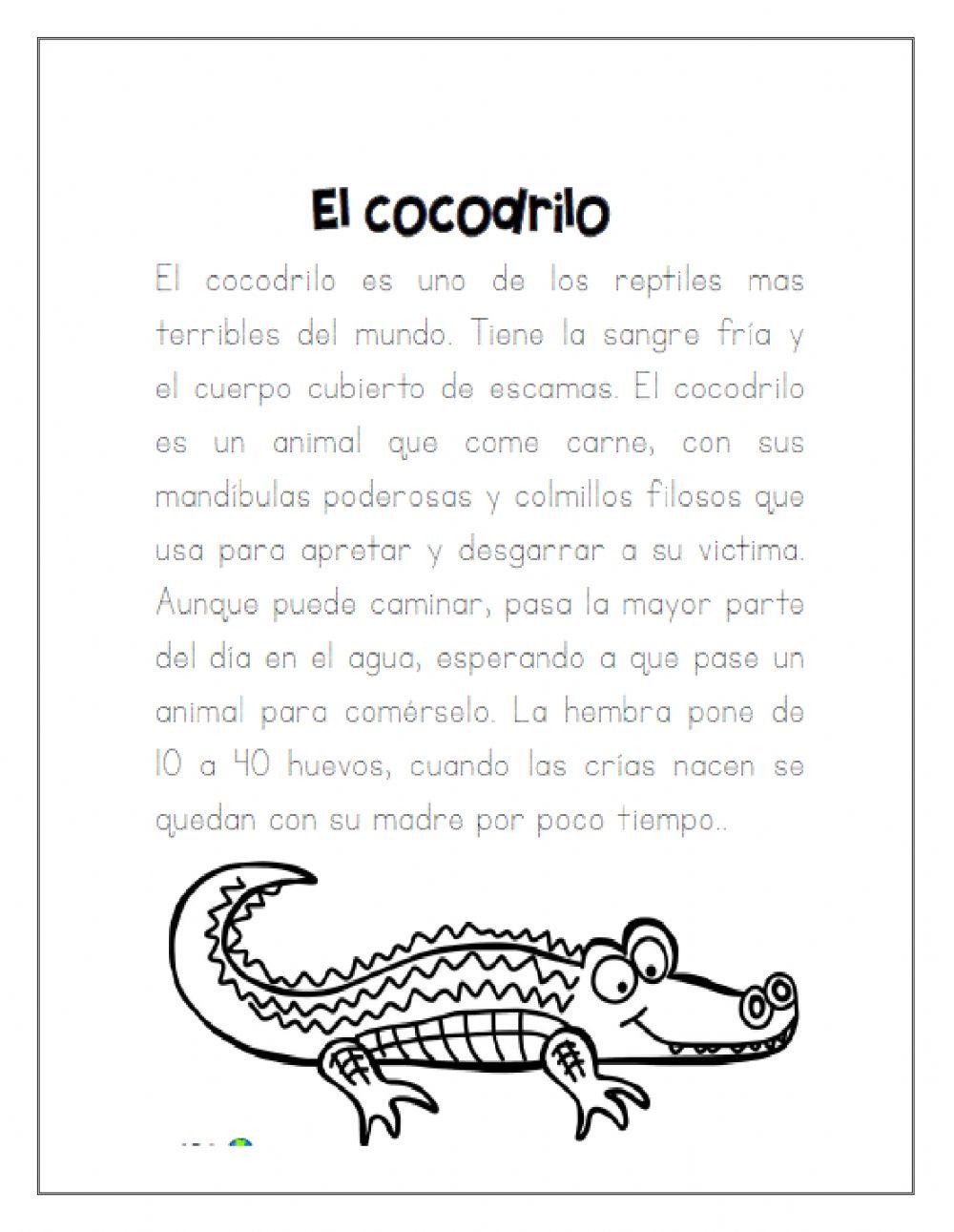El cocodrilo-Texto informativo
