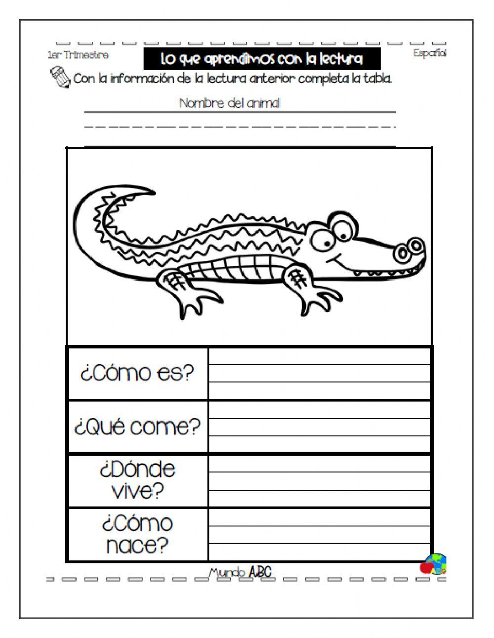 El cocodrilo-Texto informativo