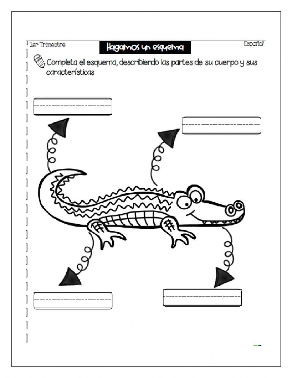 El cocodrilo-Texto informativo