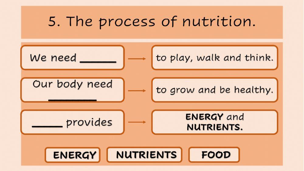 The process of nutrition