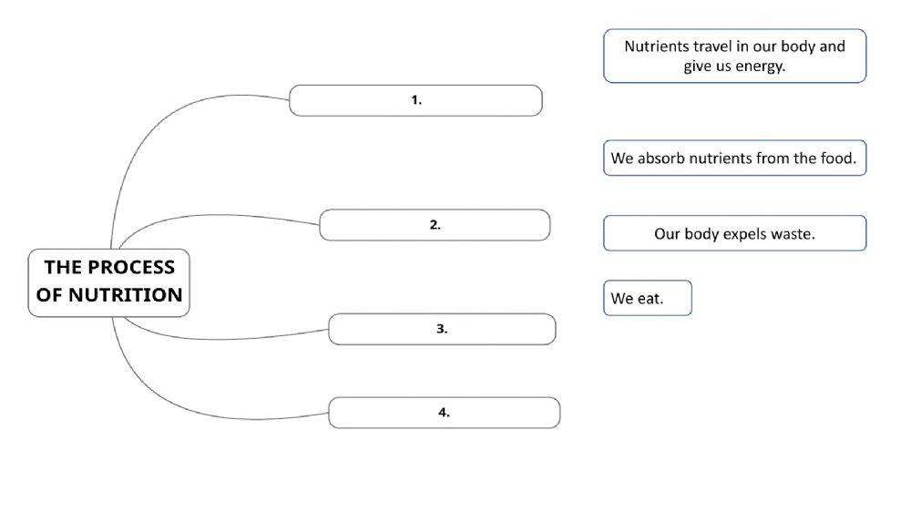 The process of nutrition
