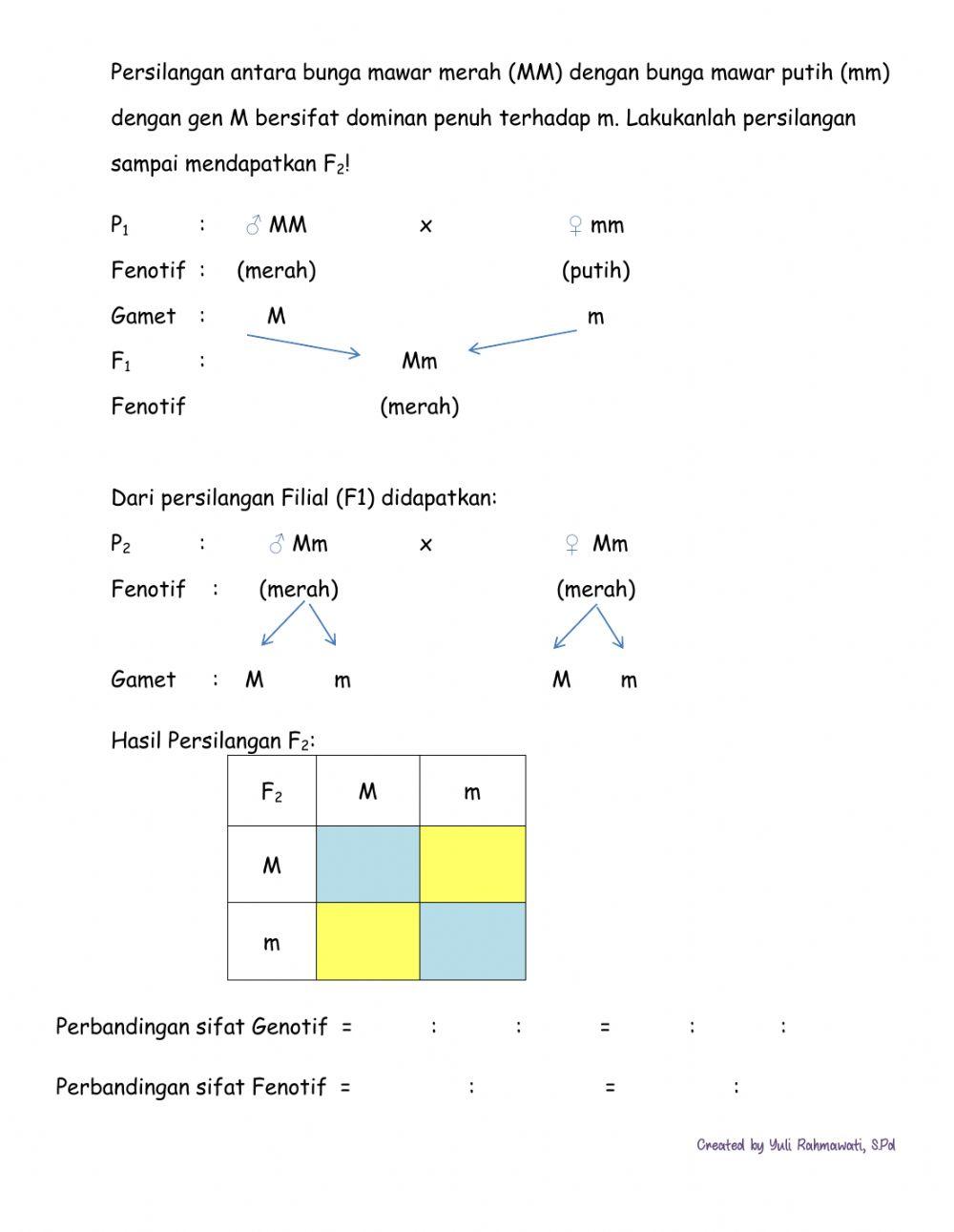 LKS Persilangan kelas 9