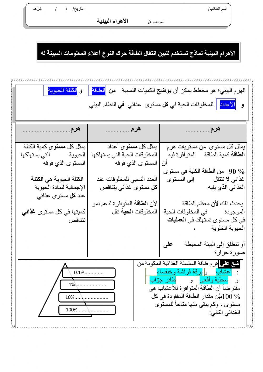 ورقة 8تفاعليةع