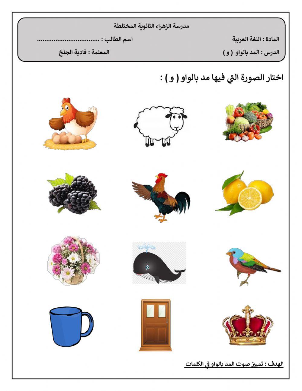 المد بالواو-فادية الجلخ