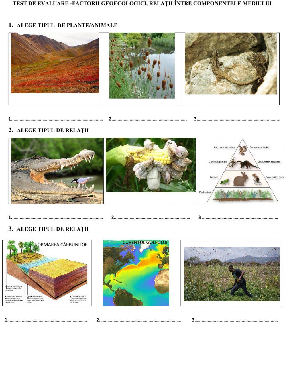 Test de evaluare-factorii geoecologici, tipuri de relații între componentele mediului