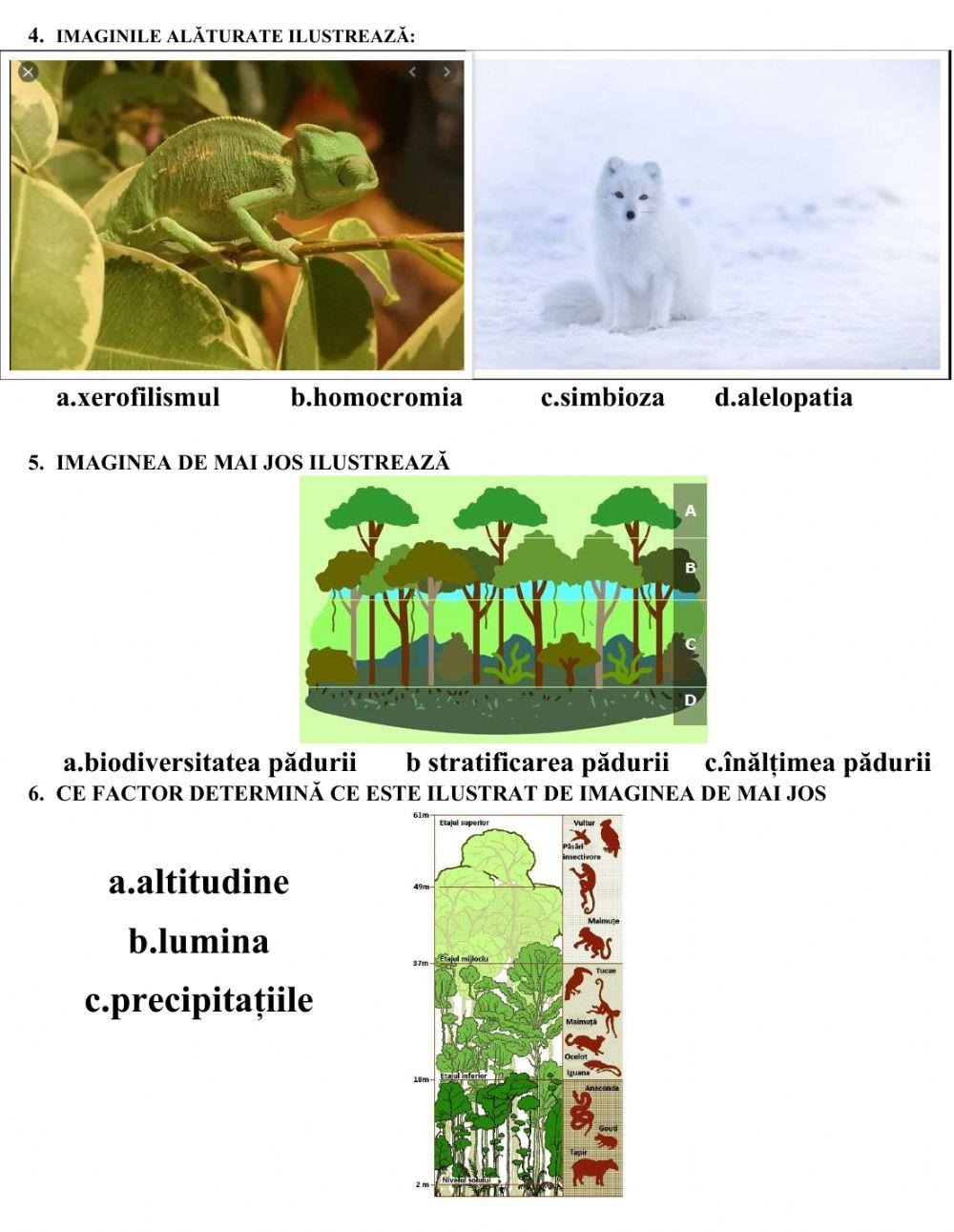 Test de evaluare-factorii geoecologici, tipuri de relații între componentele mediului