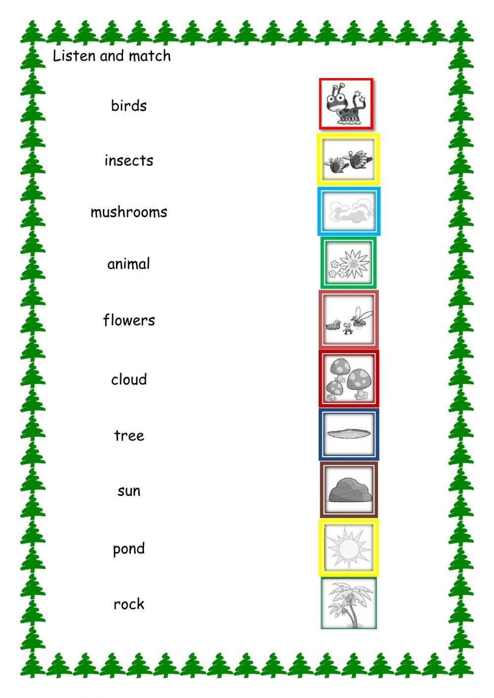 3ºU1 Nature vocabulary