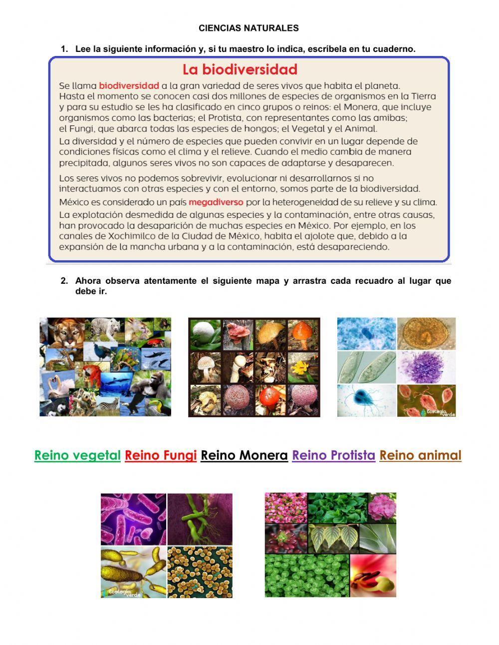 Z553 Ciencias Naturales