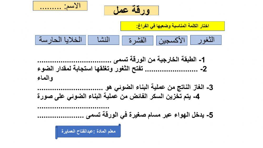 ورقة عمل تفاعلية ماذا يحدث في الورقة