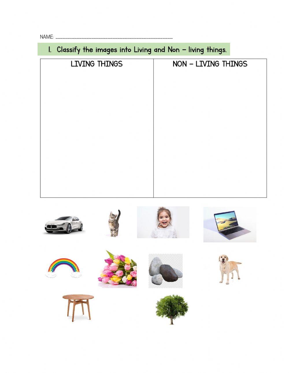 Life cycle and living and non-living things