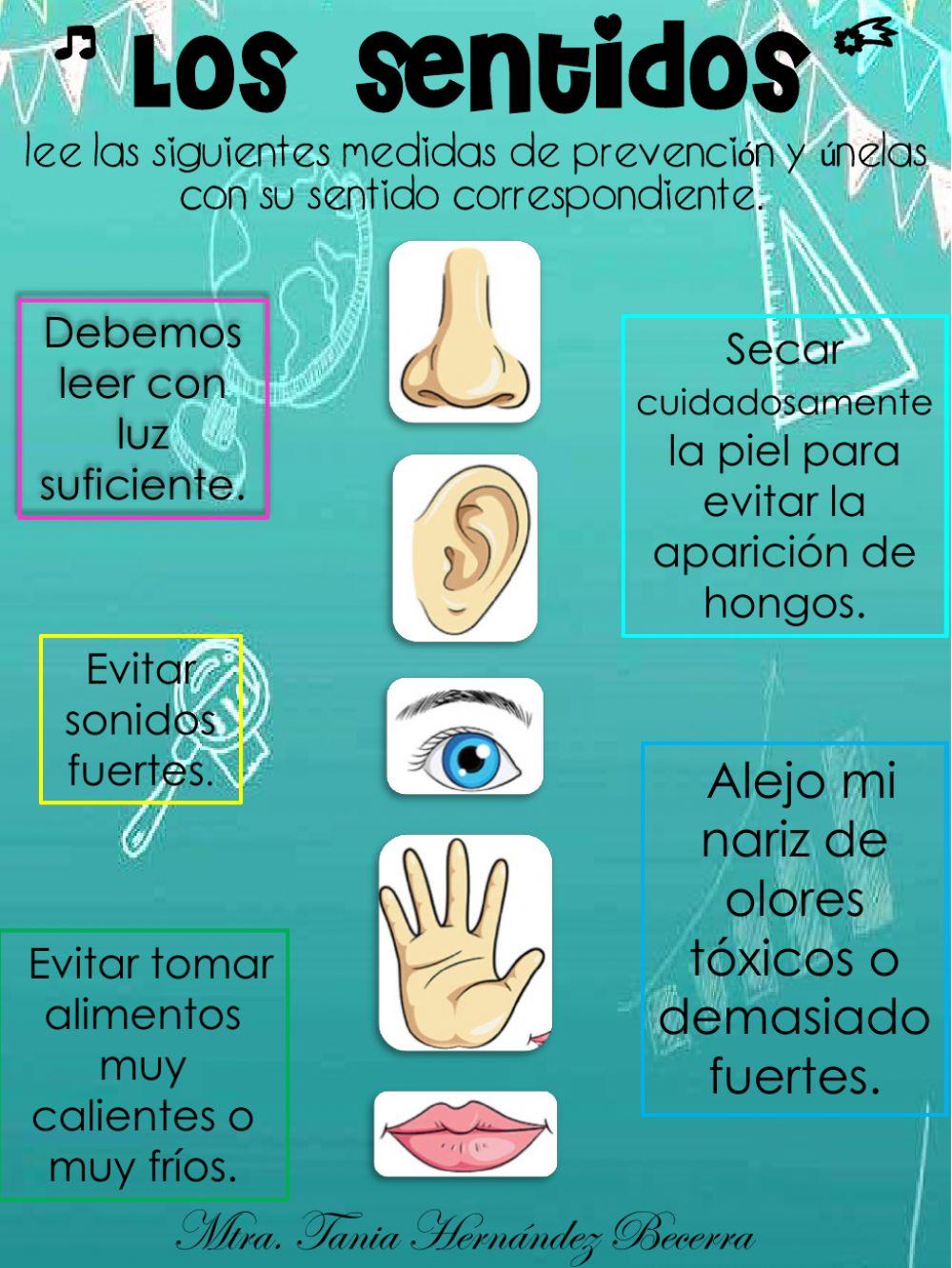 Cuidado de los sentidos