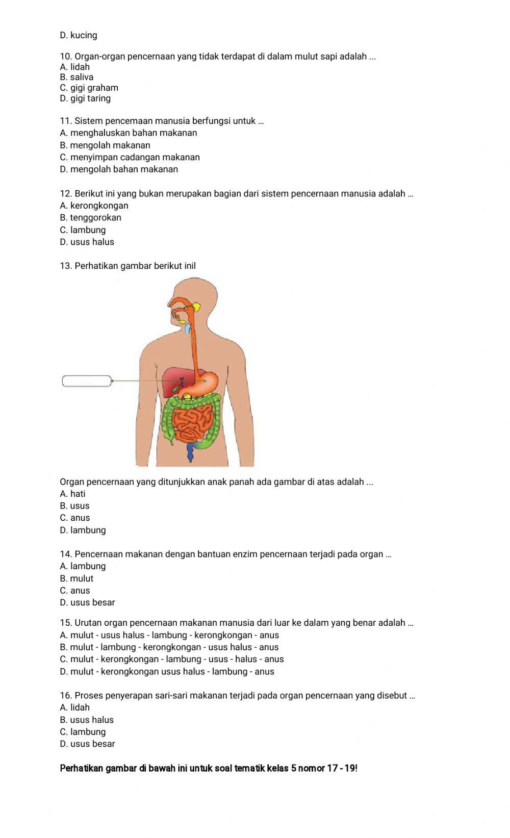 Evaluasi tema 3 kelas 5