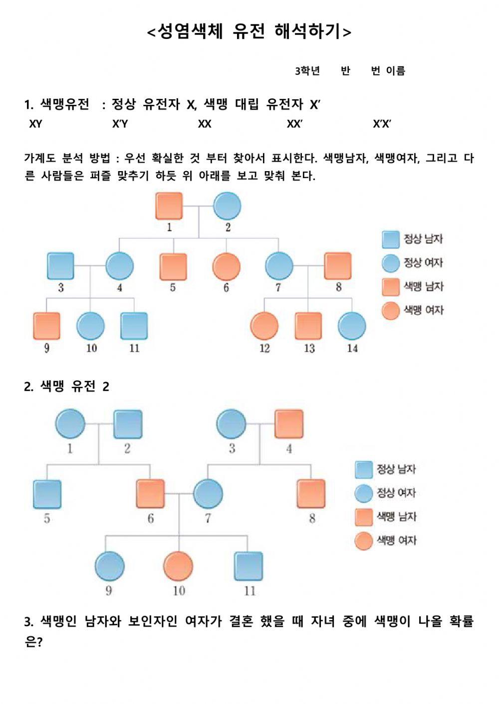 성염색체유전(색맹유전)