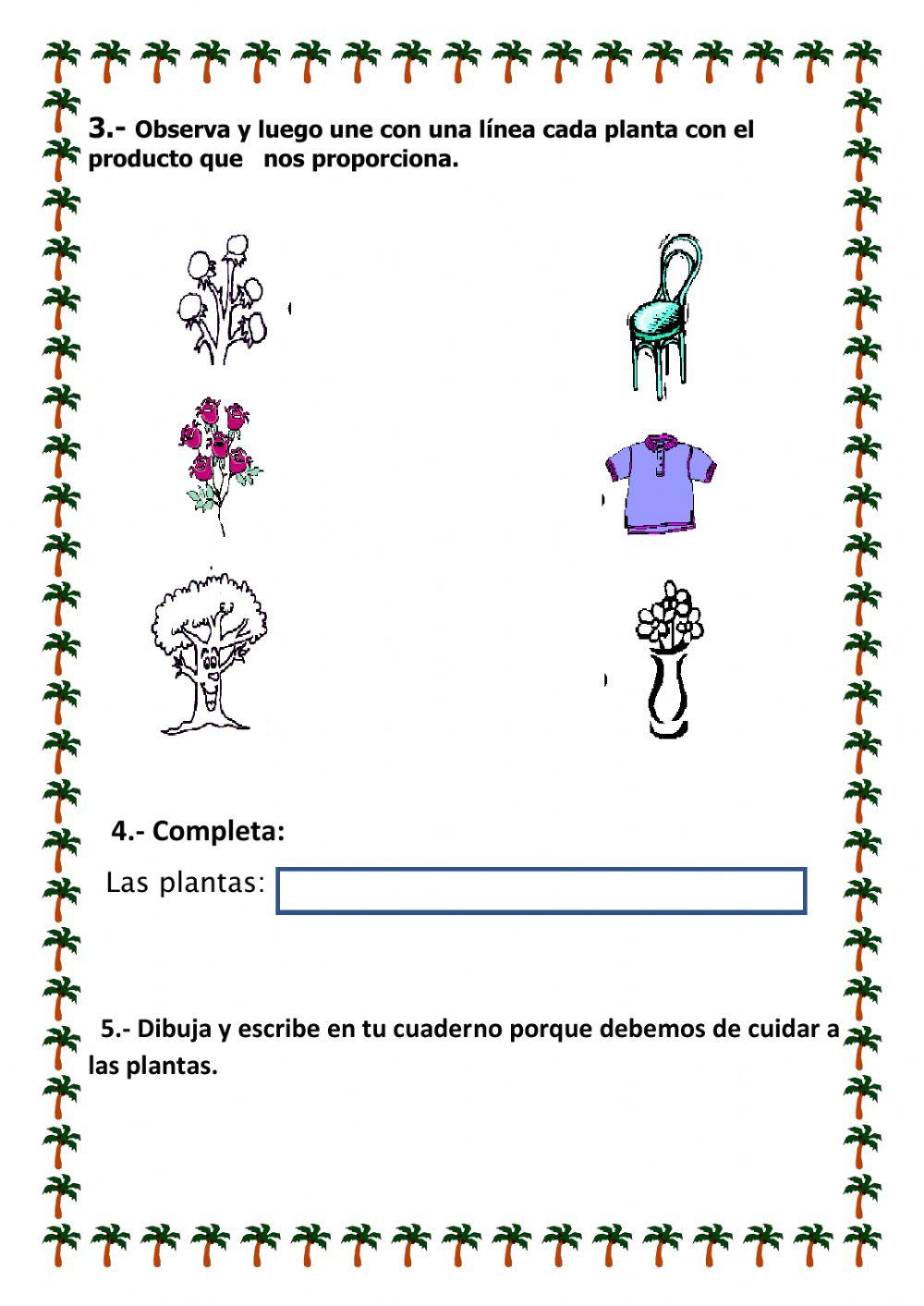 Las plantas