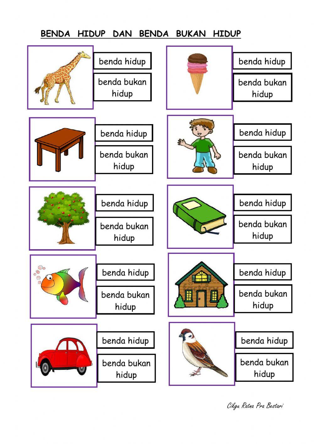 Benda hidup dan benda bukan hidup