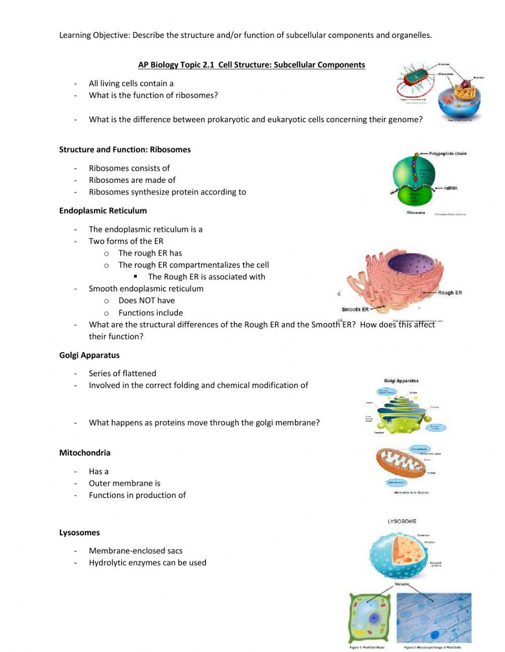 AP Biology Topic 2.1 Cell Structure: Subcellular Components Notes