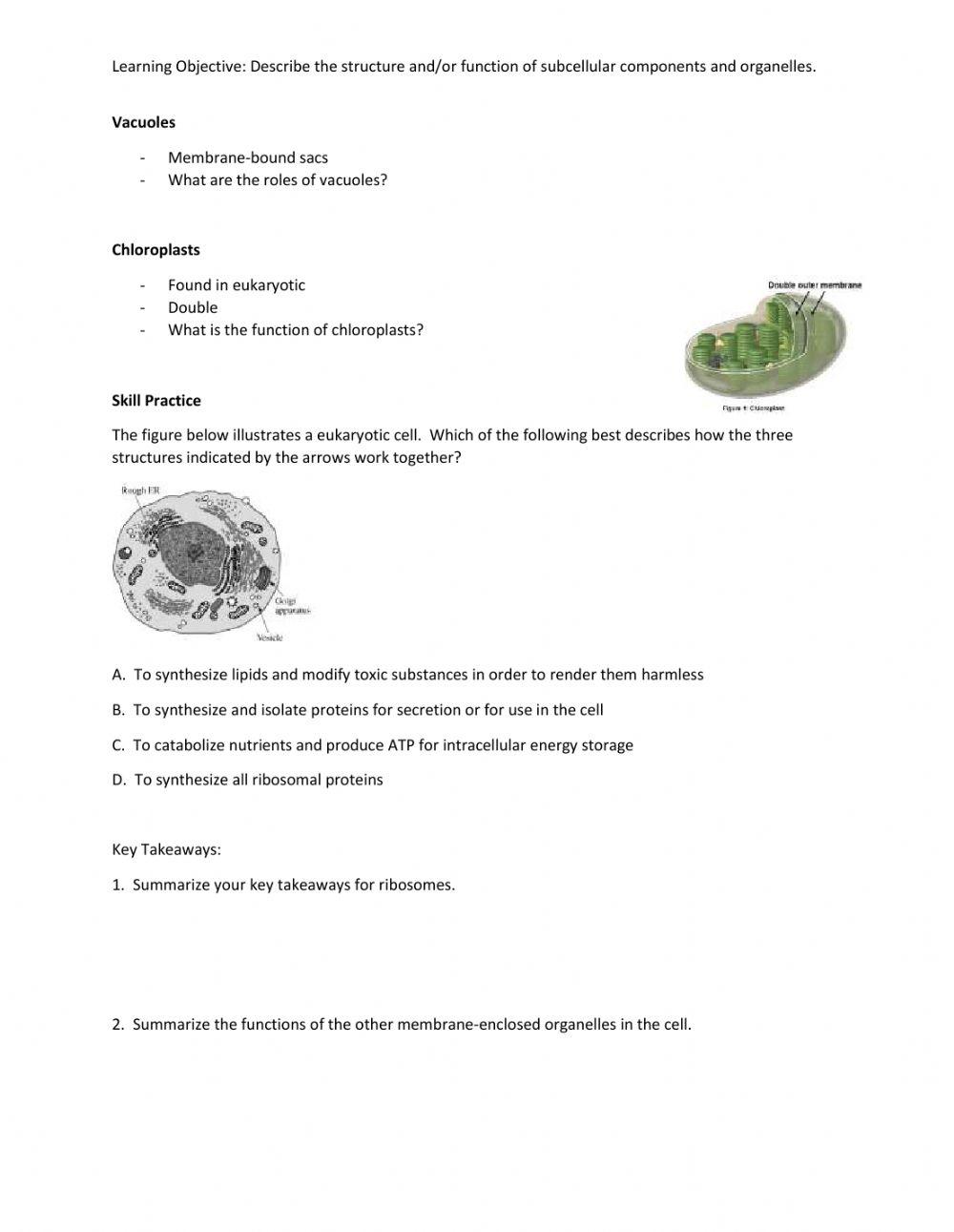AP Biology Topic 2.1 Cell Structure: Subcellular Components Notes
