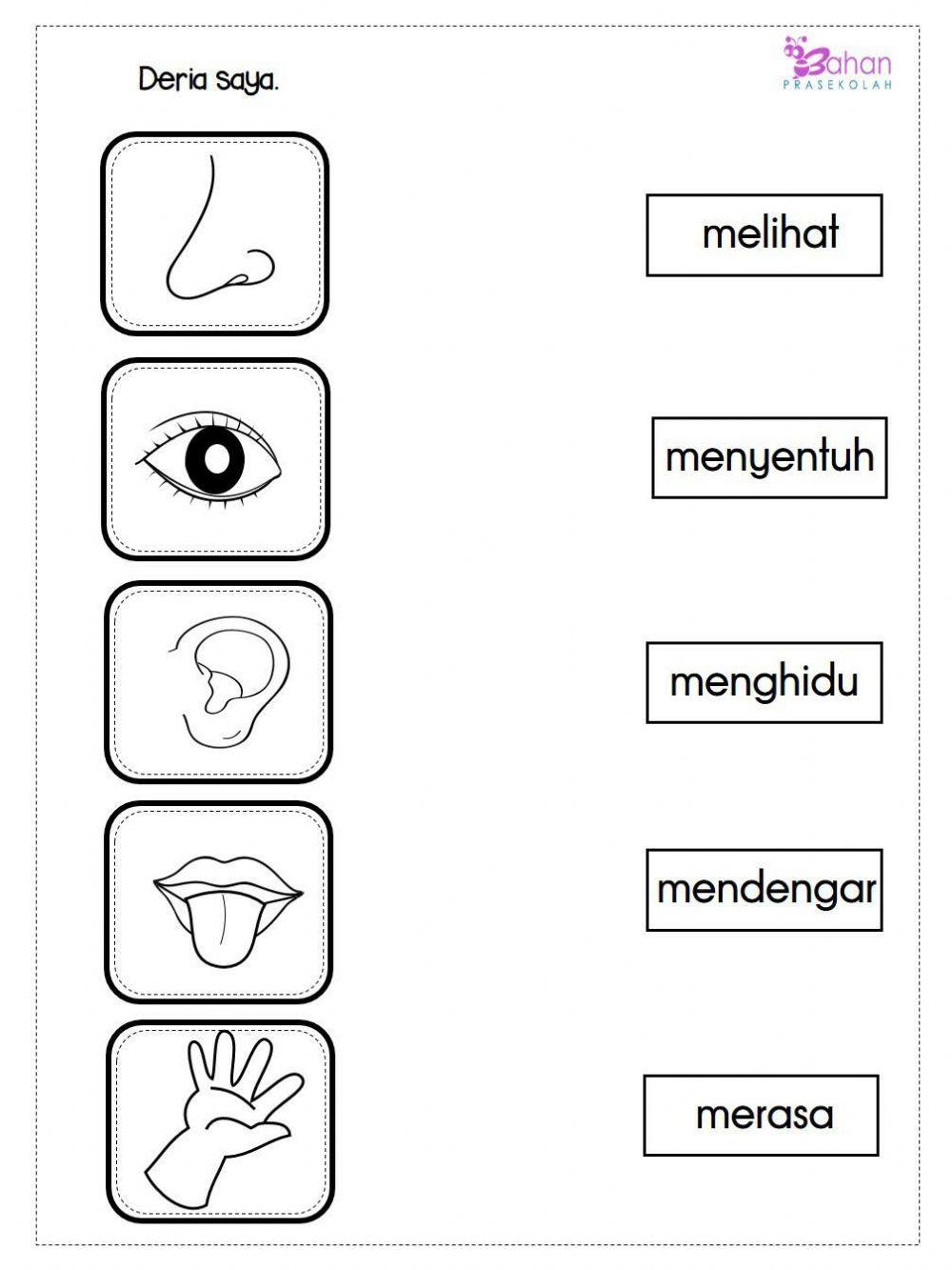 Deria Anggota Badan | indahiskandar | Live Worksheets