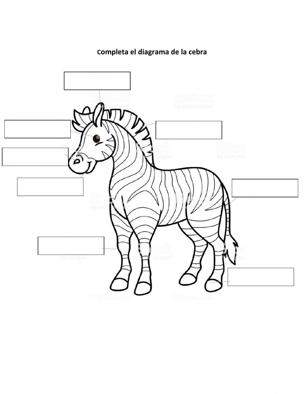 Completa el diagrama de la zebra