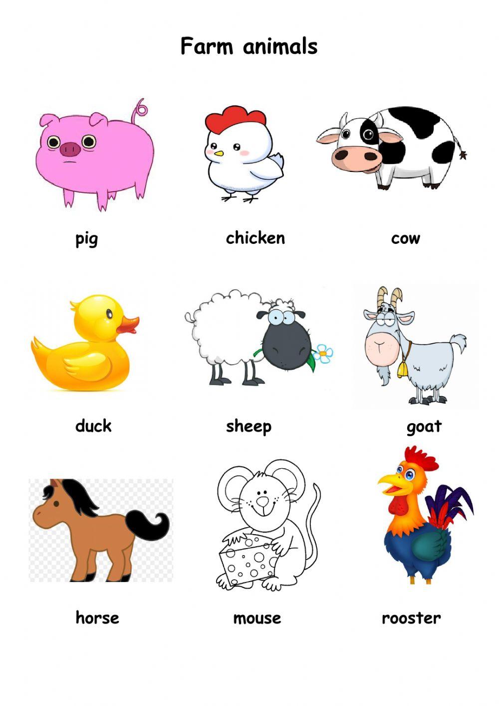 Farm animals