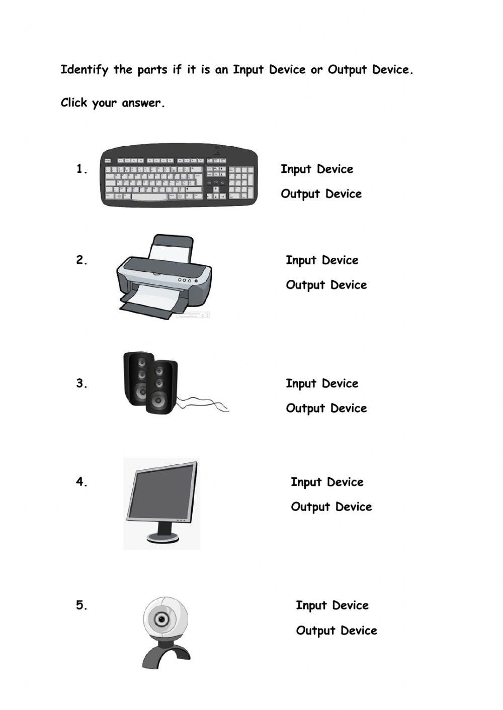 Identifying Input and Output Devices 6128523 | darlyngmae
