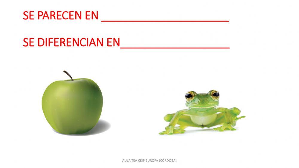 EN QUÉ SE PARECEN- EN QUÉ SE DIFERENCIAN (compara-contrasta)