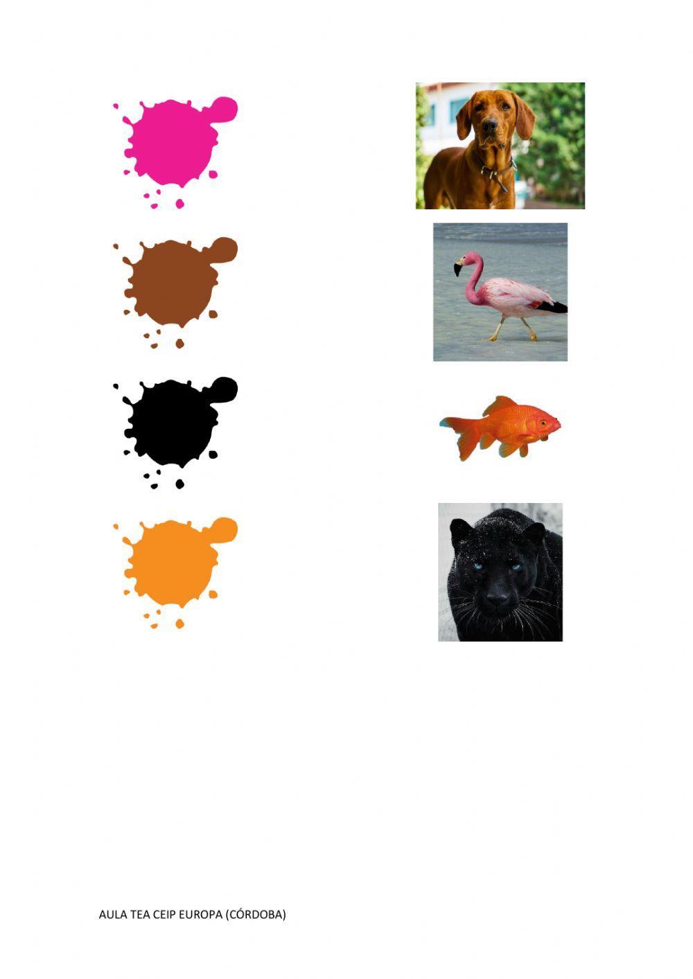 Une con flechas cada color con su animal