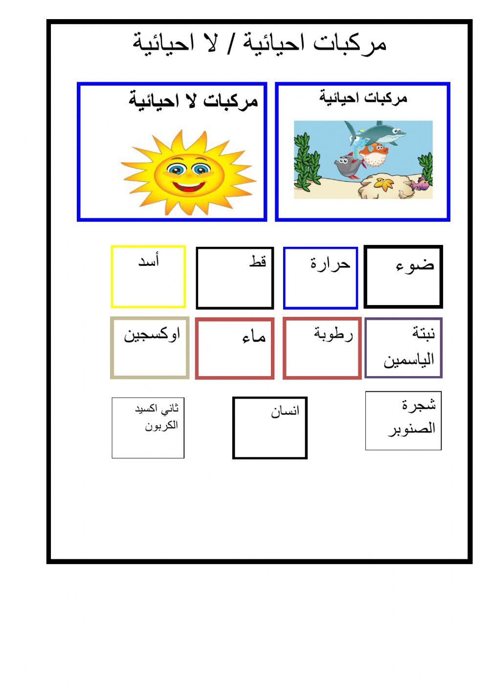 االنطام البيئي