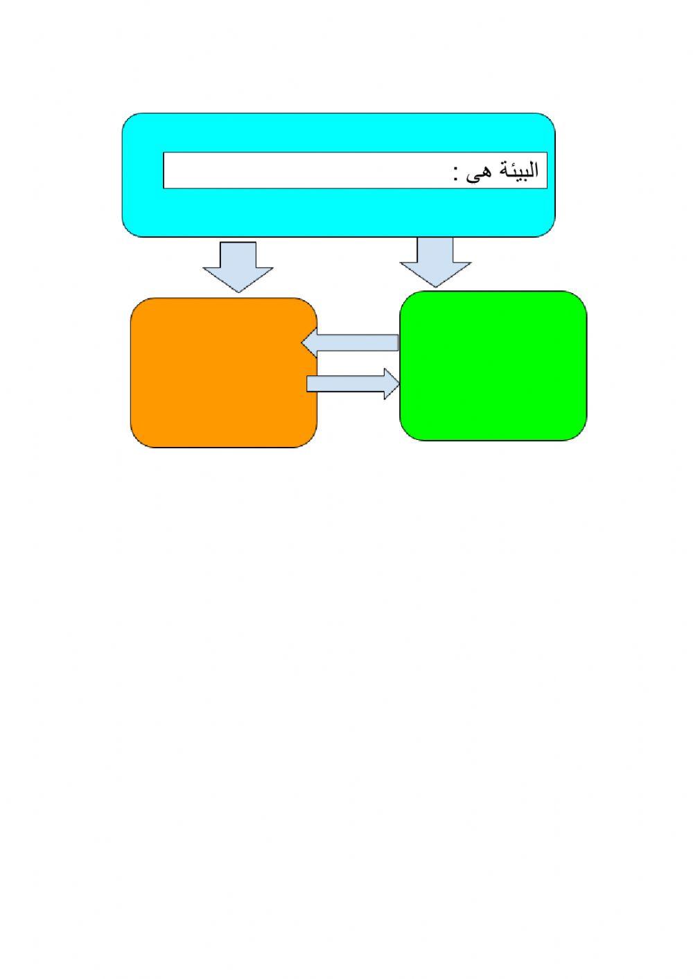 االنطام البيئي