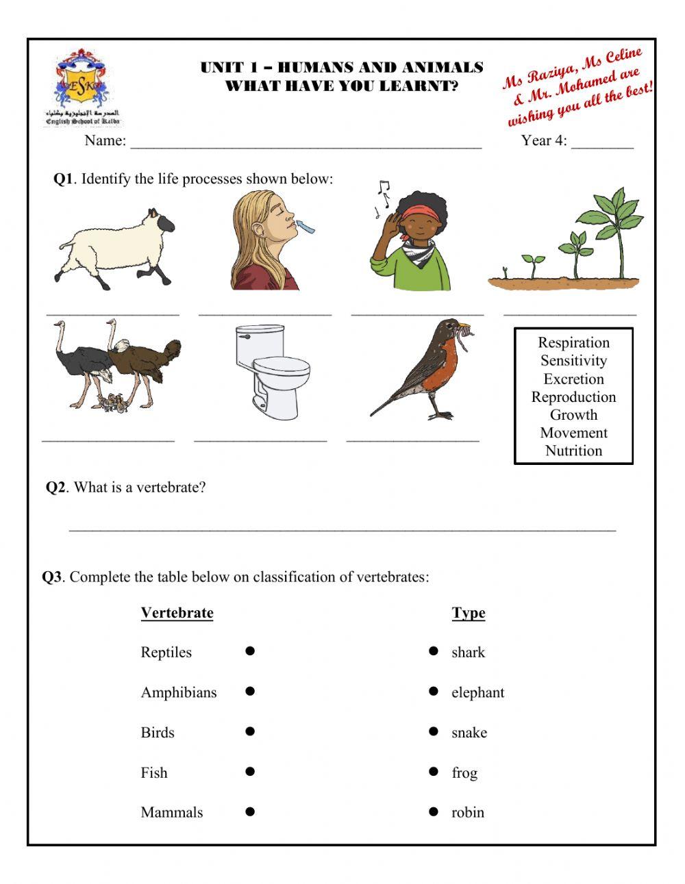 Revision - Humans and Animals